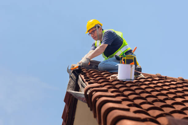 Best Roof Insulation Installation  in Jacksboro, TN